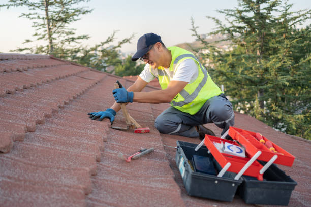 Best Gutter Installation and Roofing  in Encantada Ranchito El Calaboz, TX